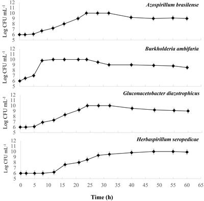 Co-culturing a multistrain Gram-negative inoculant useful in sustainable agriculture